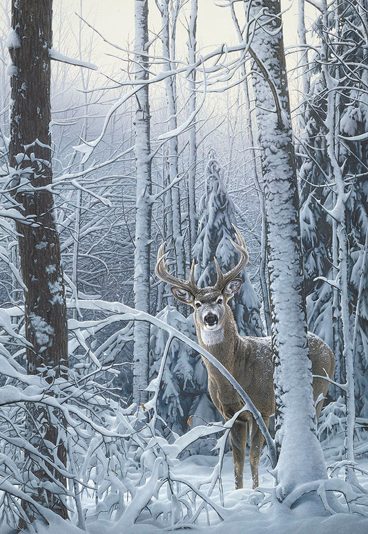 There's a quiet in the winter wood... Christmas Card