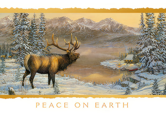 Peace on Earth Christmas Card
