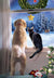 Dog and Cat Looking Out Window Christmas Card