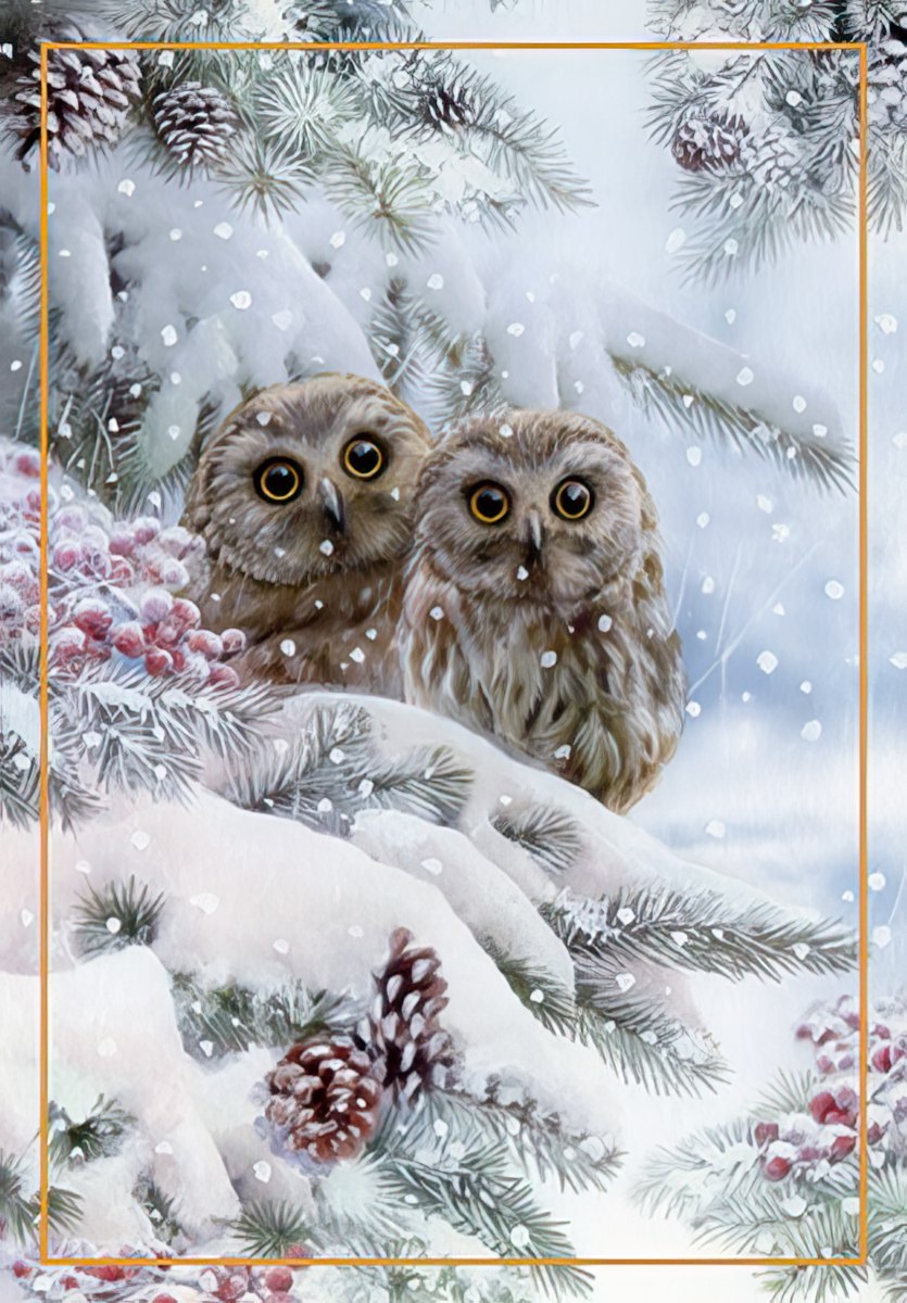 Wonders of Nature Owls in Snowy Branches Christmas Card