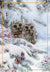 Wonders of Nature Owls in Snowy Branches Christmas Card