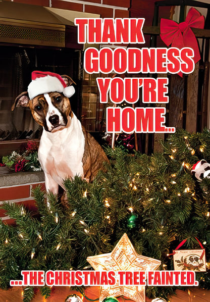 Goodness Sake Funny Santa Dog Christmas Card