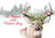 Fill Every Heart With Cheer Deer Christmas Card