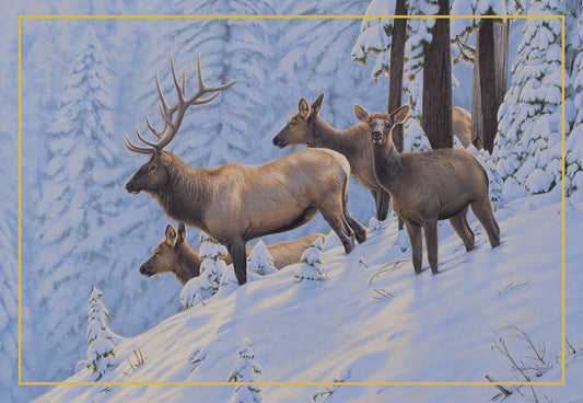 Elk In Hillside Christmas Card Single