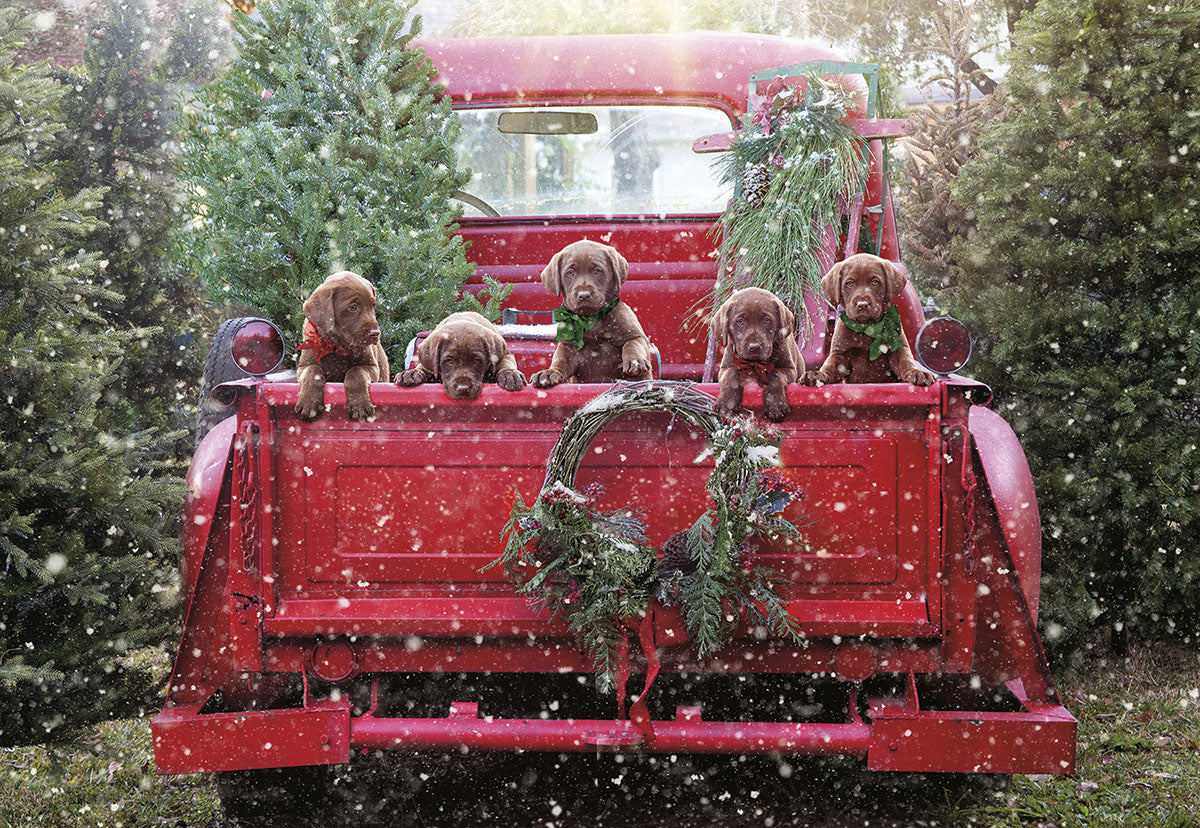 Fuzzy Wishes Puppies in Red Truck Bed Christmas Card