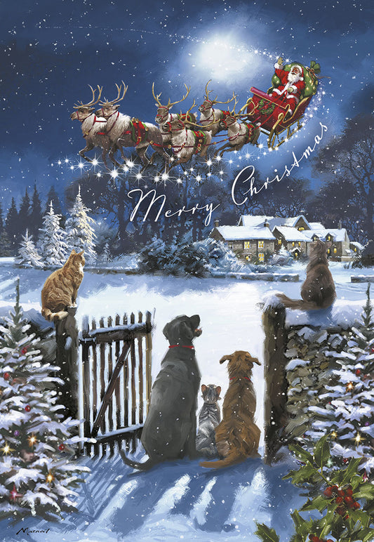 Cats and Dogs Looking at Santa's Sleigh Boxed Christmas