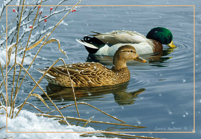 Peace, Wonder and Joy Ducks in Water Christmas Card