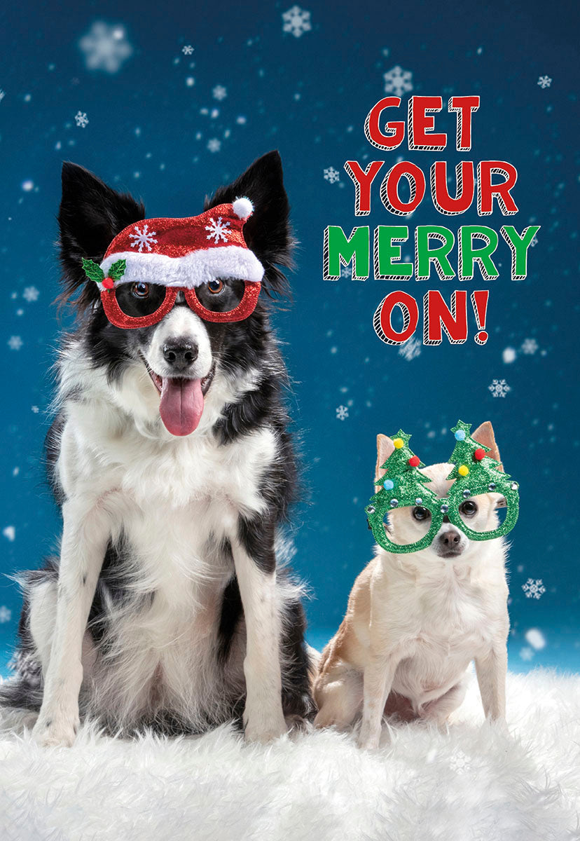 Get Your Merry On Cool Dogs with Fun Glasses Christmas Card