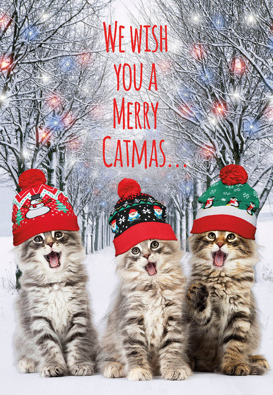 Merry Catmas Singing Cats in Funny Hats Christmas Card