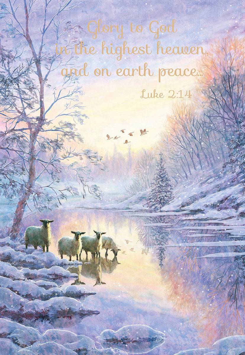 Glory to God Luke 2:14 Sheep in Winter River Christmas Card