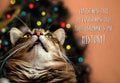Humorous Christmas card featuring a mischievous tabby cat with bright yellow eyes looking up at a blurry decorated tree, with text 'CHRISTMAS TREE OH CHRISTMAS TREE YOUR ORNAMENTS ARE HISTORY!'. Perfect for pet lovers.