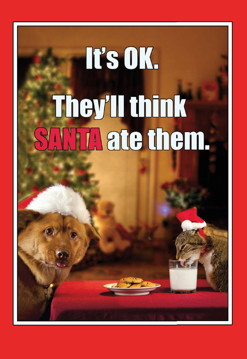 Humorous greeting card front featuring a dog and cat in Santa hats playfully devouring cookies and milk meant for Santa, with a twinkling tree in the background. The caption reads 'It's OK. They'll think SANTA ate them.'