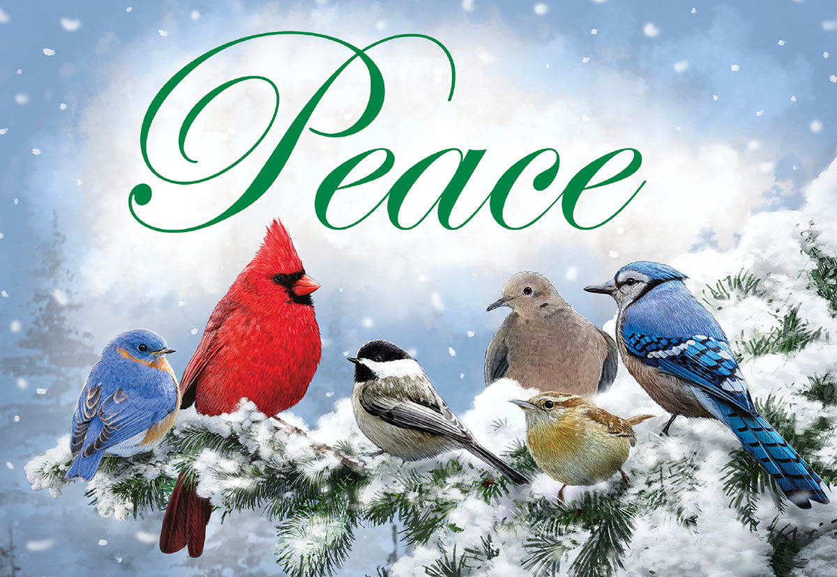 Vibrant red cardinal, blue jay, chickadee, and other songbirds perch on a snow-covered pine branch, with 'Peace' scripted above, conveying a serene winter holiday scene.