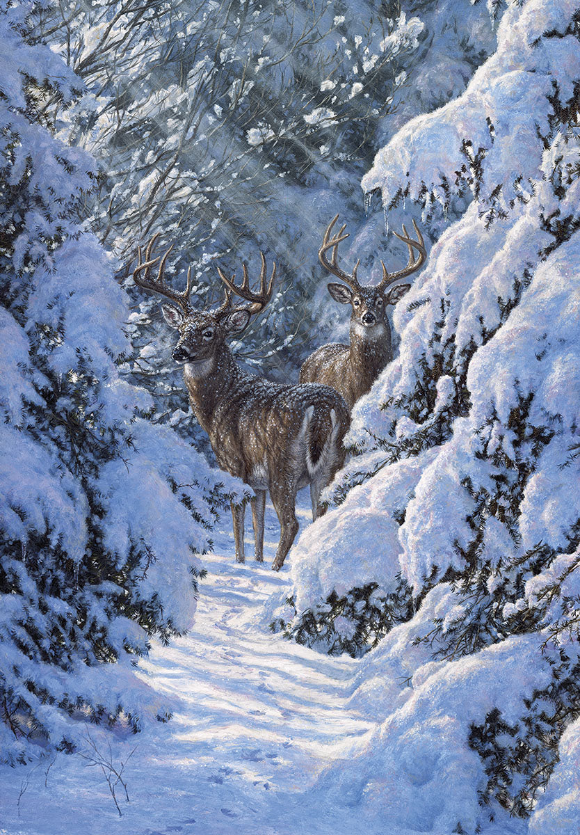 Greeting card front featuring two majestic deer with antlers standing in a serene, snow-covered winter forest, surrounded by frosty pine trees.
