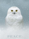 Front of a peaceful winter holiday greeting card featuring a majestic white snowy owl with bright yellow eyes amidst falling snow and embossed snowflakes, with the word 'PEACE' prominently displayed at the bottom, conveying serene season's greetings.