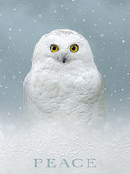Front of a peaceful winter holiday greeting card featuring a majestic white snowy owl with bright yellow eyes amidst falling snow and embossed snowflakes, with the word 'PEACE' prominently displayed at the bottom, conveying serene season's greetings.