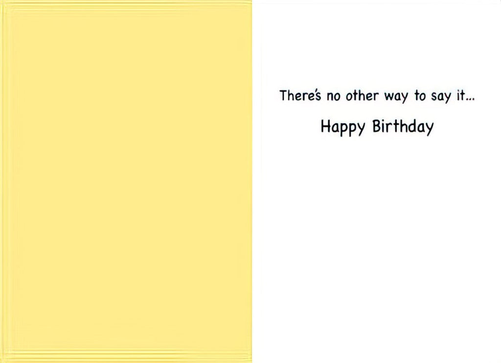 Inside of a humorous greeting card showing the message 'There's no other way to say it... Happy Birthday' on a white background, with a plain yellow panel on the left.