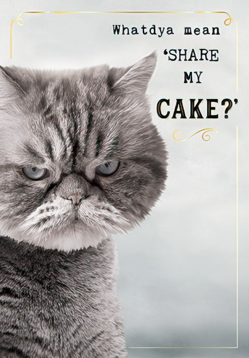 Funny birthday greeting card for anyone featuring a grumpy grey Persian cat staring intensely with the text 'Whatdya mean "SHARE MY CAKE?"' on a light background, perfect for a friend's special day.