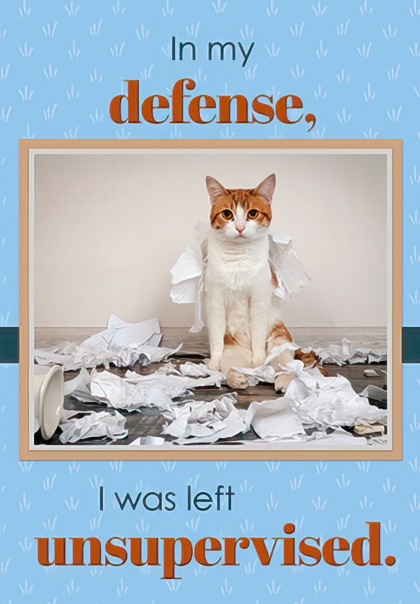 Funny orange and white cat surrounded by torn white paper, looking guilty next to text 'In my defense, I was left unsupervised.' on a blue and beige background, perfect for a humorous birthday.