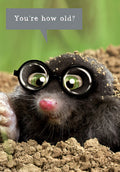 Close-up of a cute, dark-furred mole wearing large black-rimmed glasses, peeking out of brown soil. A grey speech bubble above its head reads, 'You're how old?'. The background is a soft green, suggesting a humorous, surprise-themed greeting card.