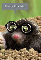 Close-up of a cute, dark-furred mole wearing large black-rimmed glasses, peeking out of brown soil. A grey speech bubble above its head reads, 'You're how old?'. The background is a soft green, suggesting a humorous, surprise-themed greeting card.
