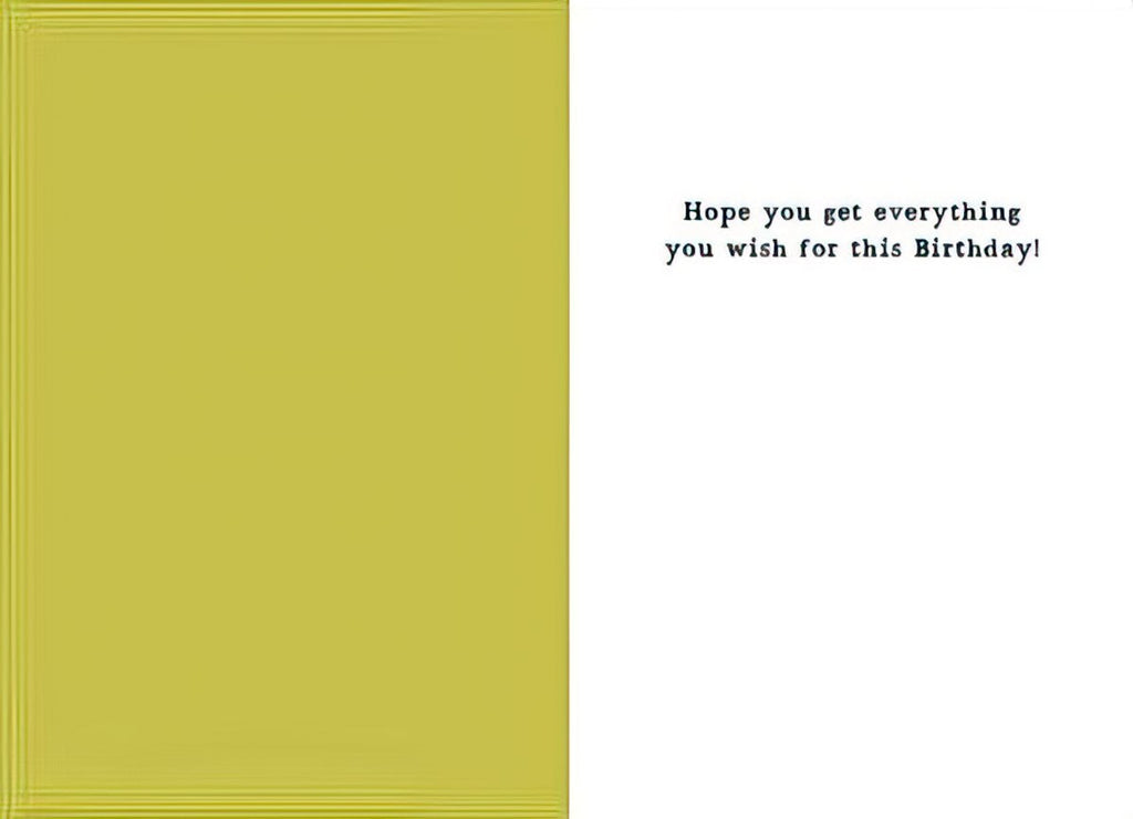Inside view of the greeting card. The left panel is a solid yellow-green color, matching the front of the card. The right panel is white with black text that reads: "Hope you get everything you wish for this Birthday!"