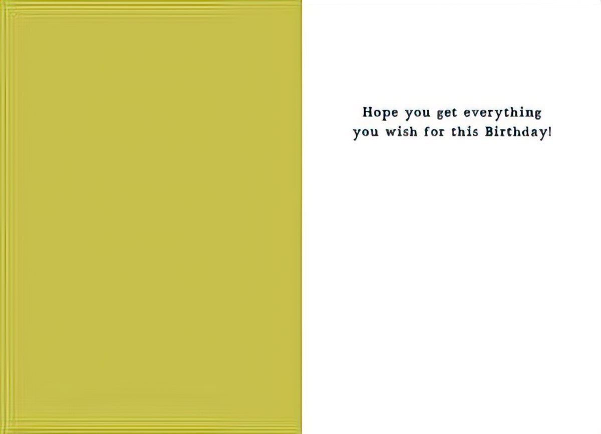 Inside view of the greeting card. The left panel is a solid yellow-green color, matching the front of the card. The right panel is white with black text that reads: "Hope you get everything you wish for this Birthday!"