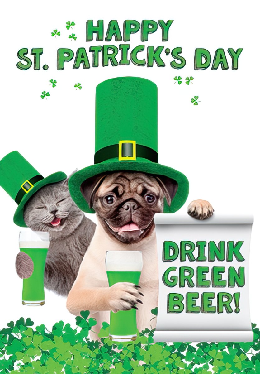 Humorous St. Patrick's Day greeting card featuring a pug and a tabby cat wearing green leprechaun hats and holding glasses of green beer, surrounded by vibrant shamrocks. Text reads 'Happy St. Patrick's Day' and 'Drink Green Beer!'