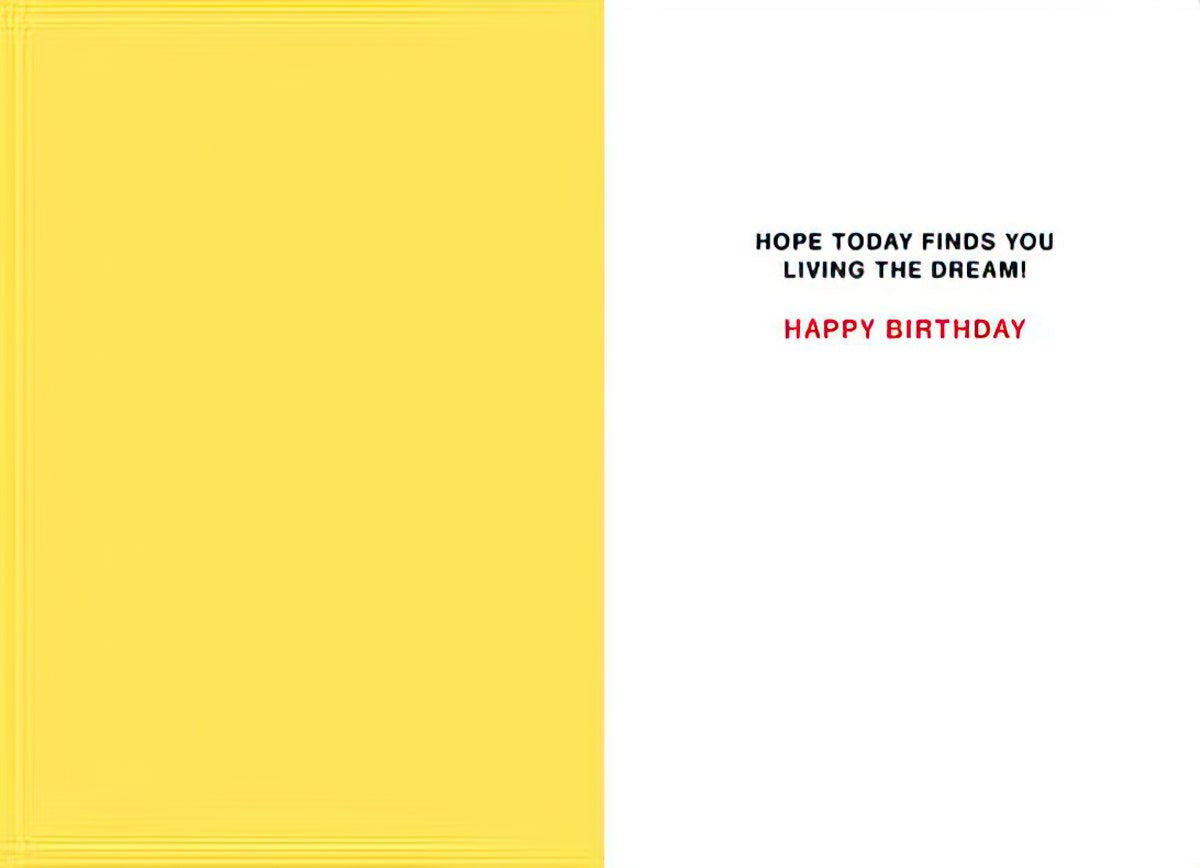 Inside of a humorous greeting card with text 'HOPE TODAY FINDS YOU LIVING THE DREAM! HAPPY BIRTHDAY' on a white background with a yellow stripe.