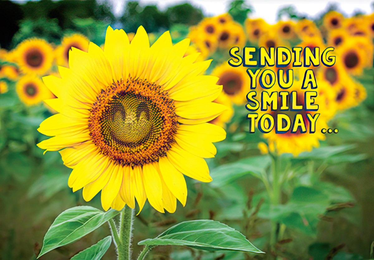 Bright yellow sunflower greeting card front with text 'SENDING YOU A SMILE TODAY...' against a field of blurred sunflowers, conveying hope and happiness.