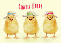 Front of an adorable Easter greeting card featuring three fluffy yellow baby chicks wearing straw hats with colorful bands and white daisy flowers. The chicks are smiling on a light yellow background, with the playful text 'Chicks Rule!' in pink script above them. Perfect for children or friends.