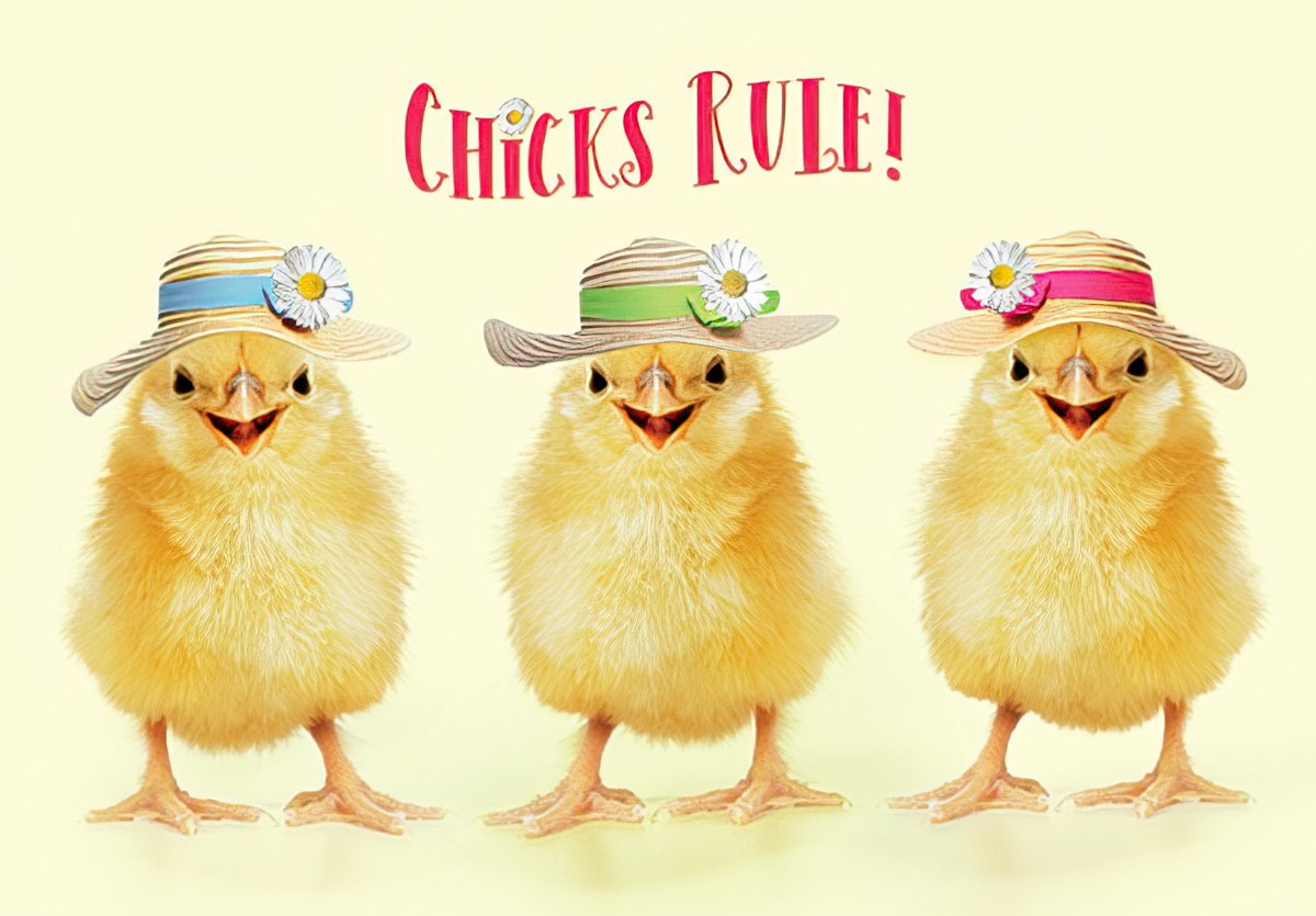 Front of an adorable Easter greeting card featuring three fluffy yellow baby chicks wearing straw hats with colorful bands and white daisy flowers. The chicks are smiling on a light yellow background, with the playful text 'Chicks Rule!' in pink script above them. Perfect for children or friends.