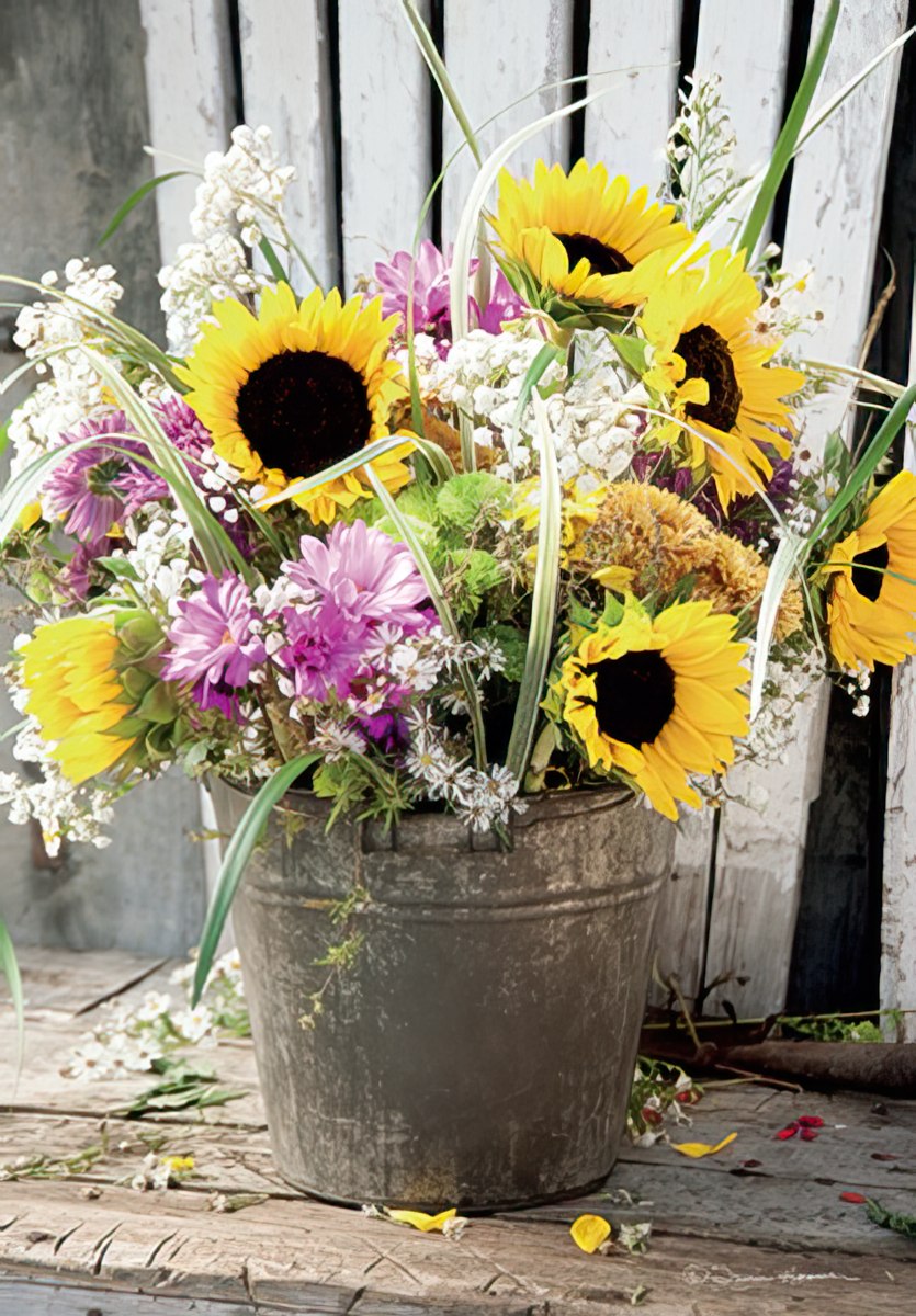 Front of a 'Happy Birthday To Someone Special' card, featuring a bright sunflower field under morning sun.