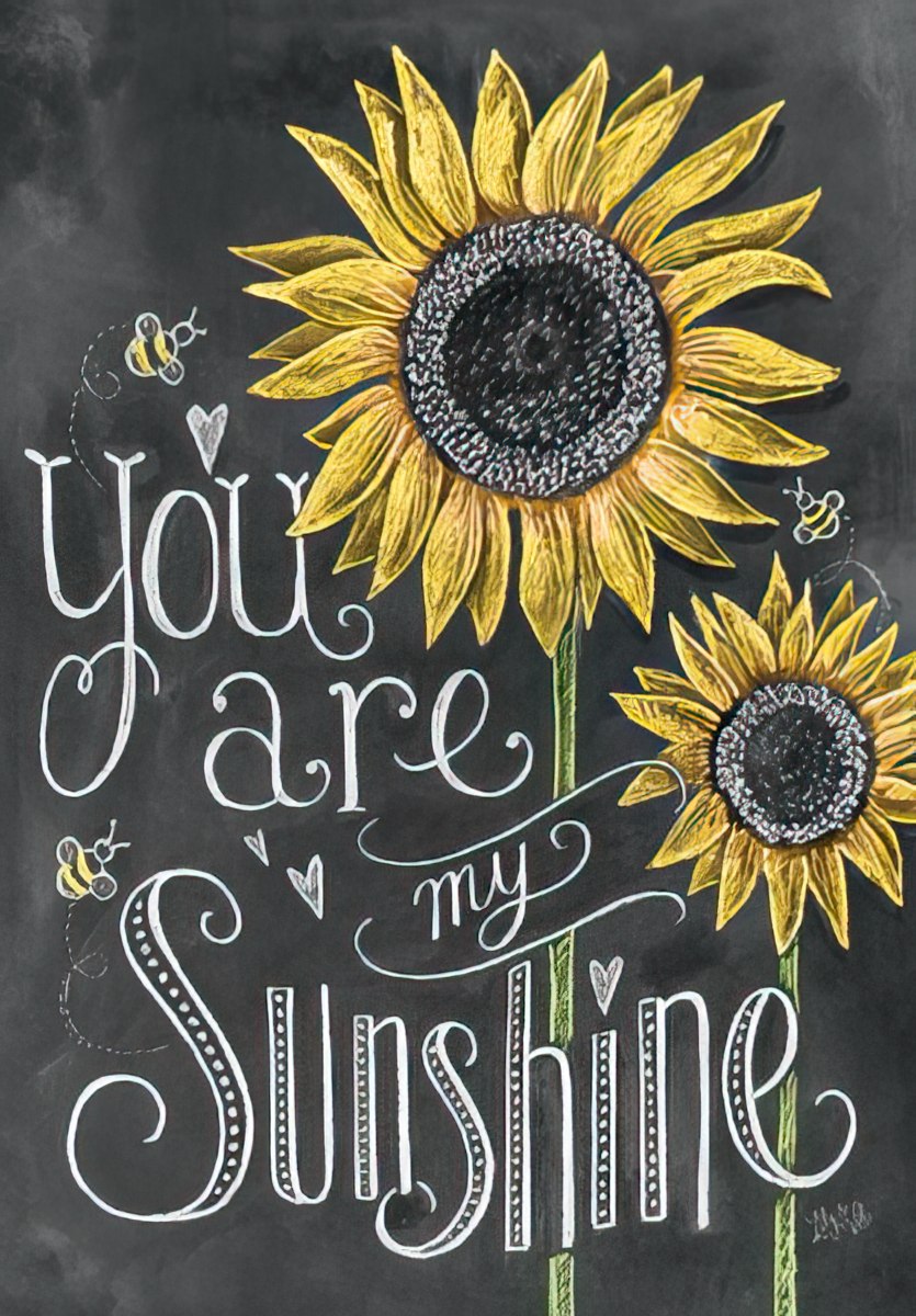 Front of a 'Your birthday weather report...' card with a kitten atop a giant sunflower looking at the sky.