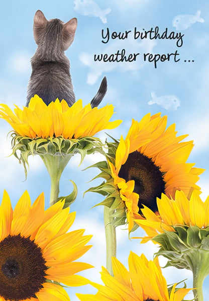 Front of a 'Thoughts of you...' card with a vibrant bouquet of sunflowers and purple flowers on a striped background.