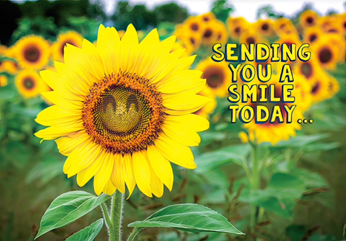 Front of a 'Life is a journey' card, watercolor bicycle with a basket full of colorful sunflowers and flowers.
