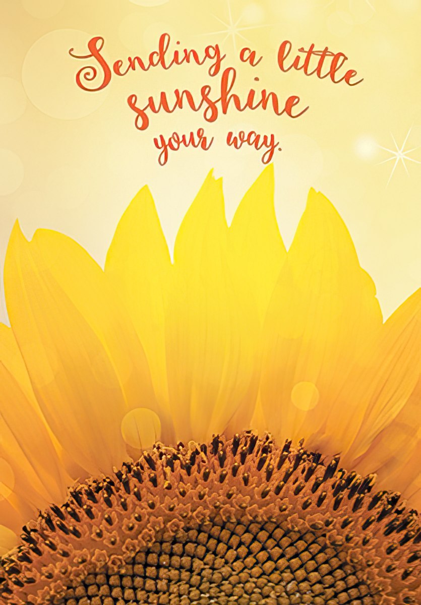 Front of a 'Kindness lights up the world...' card, a sunflower field at sunset with a warm, inspiring message.