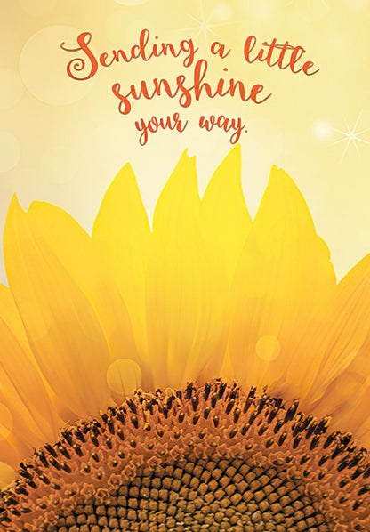 Front of a 'Kindness lights up the world...' card, a sunflower field at sunset with a warm, inspiring message.