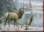 Box cover for 'Christmas in Elk Country Christmas Card Assortment' by Leanin' Tree, showing a large bull elk and a smaller cow elk standing in a snowy forest with pine trees during winter.