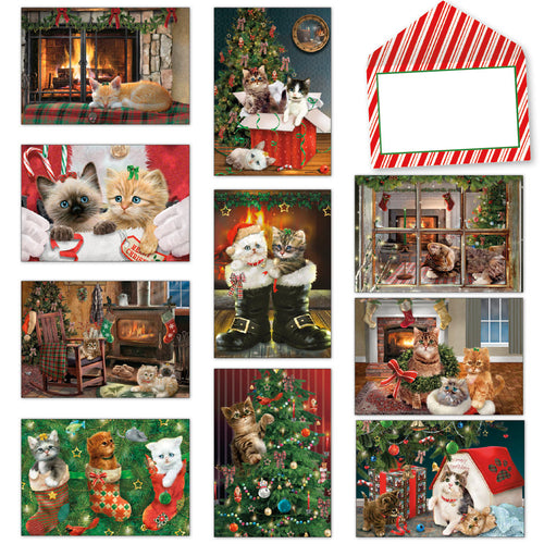 Assorted Christmas kitten greeting cards, featuring cute felines in festive holiday scenes by fireplaces, under trees, and in stockings, with a striped envelope for sending.
