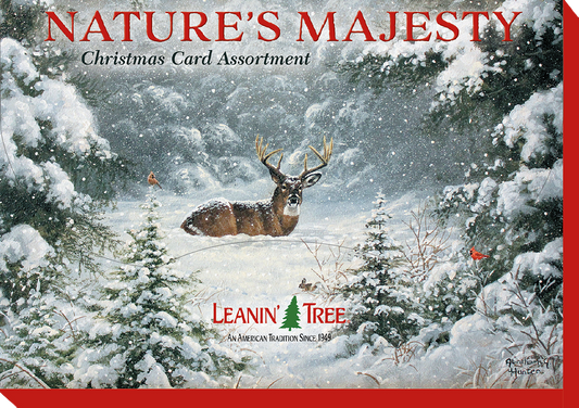 Nature's Majesty Christmas Card Assortment