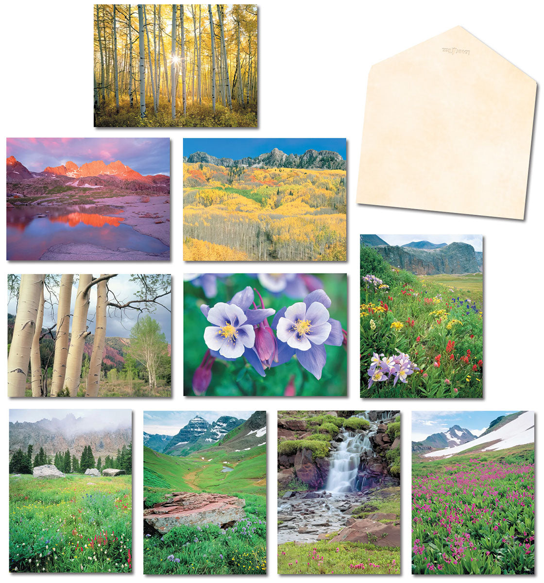 Assortment of ten unique Colorado nature greeting cards showcasing diverse landscapes including golden aspen trees, mountain lakes, alpine wildflowers, and majestic peaks.