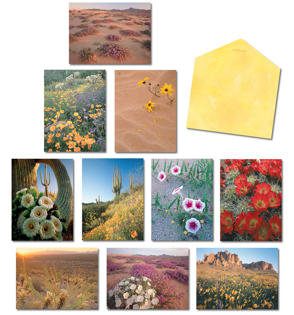 Variety of blank greeting cards featuring stunning desert landscapes with vibrant spring flowers and cacti, accompanied by a plain yellow envelope.