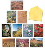 Variety of blank greeting cards featuring stunning desert landscapes with vibrant spring flowers and cacti, accompanied by a plain yellow envelope.