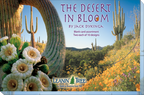 Box cover for 'The Desert in Bloom' greeting card assortment by Jack Dykinga, showcasing a close-up of white cactus flowers and a sweeping vista of saguaro cacti amidst a field of orange and yellow wildflowers.