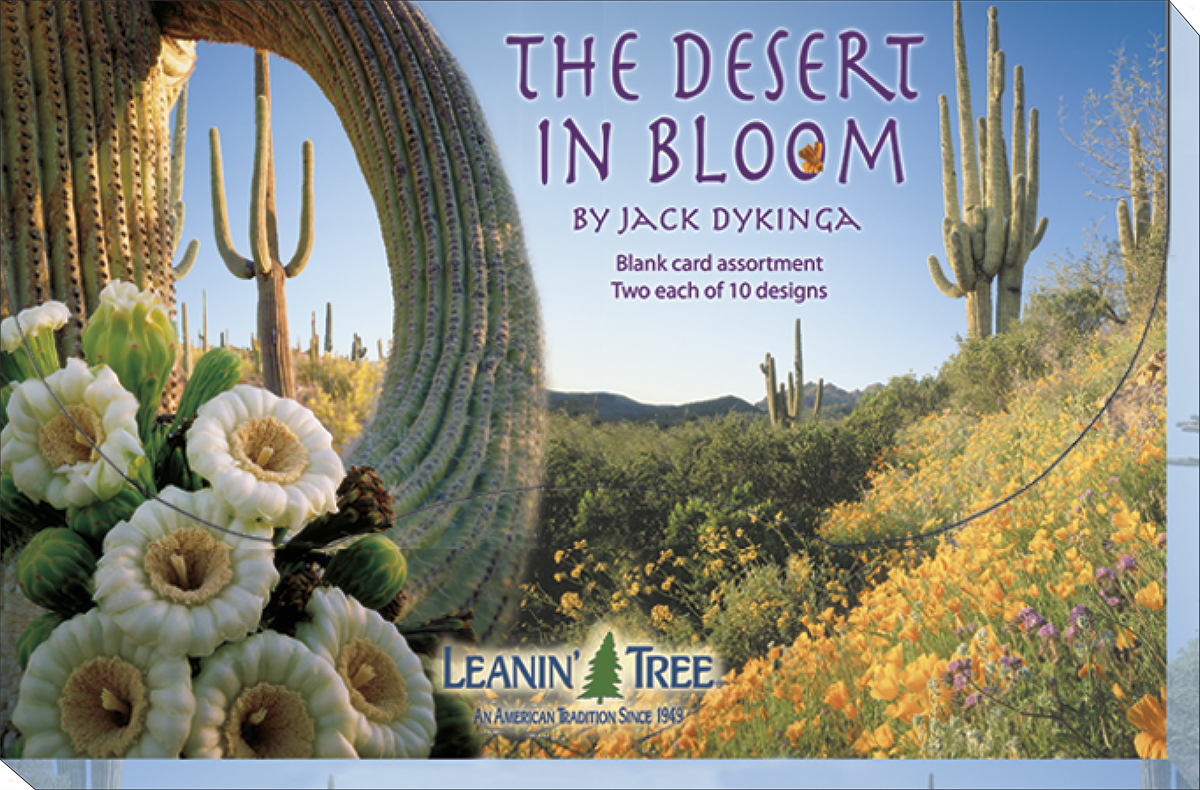 Box cover for 'The Desert in Bloom' greeting card assortment by Jack Dykinga, showcasing a close-up of white cactus flowers and a sweeping vista of saguaro cacti amidst a field of orange and yellow wildflowers.