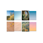 Four open greeting cards showing their front desert landscape designs and corresponding blank colored inside pages. Designs include saguaro cacti, various wildflowers, and sandy desert scenes.