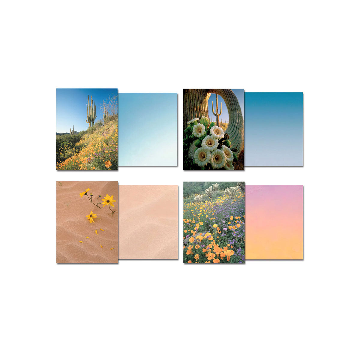 Four open greeting cards showing their front desert landscape designs and corresponding blank colored inside pages. Designs include saguaro cacti, various wildflowers, and sandy desert scenes.