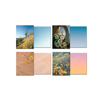 Assortment of four blank greeting cards showing desert landscapes with saguaro cacti, yellow flowers, and sandy dunes.