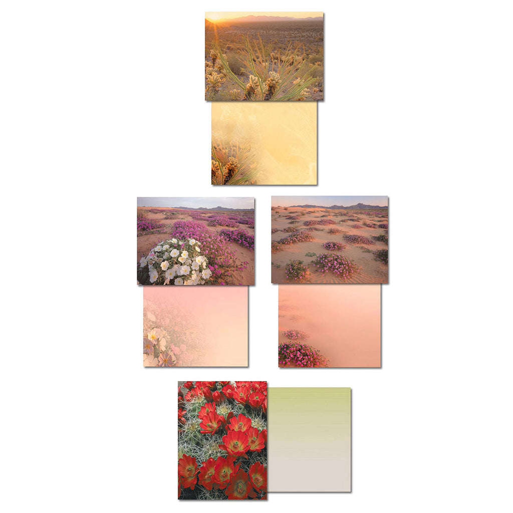 Three individual blank greeting card designs: a desert sunset with sparse vegetation, a vibrant field of white and purple desert blooms, and bright red cactus flowers, each paired with its unique gradient blank interior.